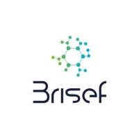 Brisef logo - Similar company to Inforedchile