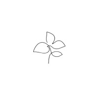 Calathea⎜Branding & Communication logo - Similar company to 101Bis