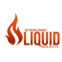 Liquid Digital Solutions logo - Similar company to Anm Computer Consultants