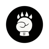 Wildpunch Design logo - Similar company to Squareit Solutions