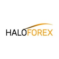 HaloForex logo - Similar company to Boxes