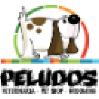 PELUDOS logo - Similar company to Genética.Sv