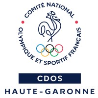 CDOS 31 logo - Similar company to Cdos 73