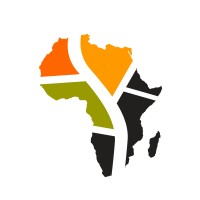 PaveWay Africa Limited logo - Similar company to Linkbase