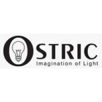 OSTRIC logo - Similar company to Alpha Estimation