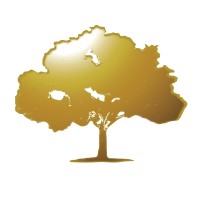 The Golden Tree InterNational Inc. logo - Similar company to Trip Concierge