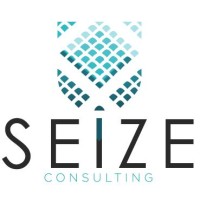 SEIZE Consulting logo - Similar company to Mactweek
