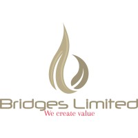 Bridges Limited logo - Similar company to Bridges Limited