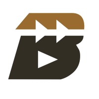 BAYI Capital Management logo - Similar company to Bayi Foundation Corp