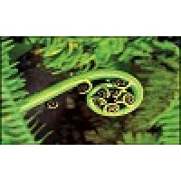 New Zealand Clinical Trials logo - Similar company to Hauhau Research