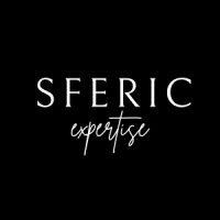 SFERIC SOCIAL logo - Similar company to Roosevelt Rh