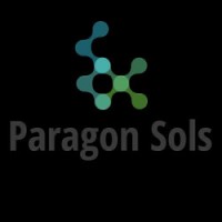 Paragon Sols logo - Similar company to Rinstra Technologies (Pvt) Ltd