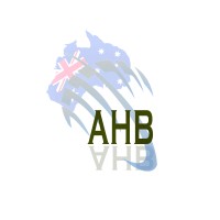 AHB Software Services logo - Similar company to Fundi Software