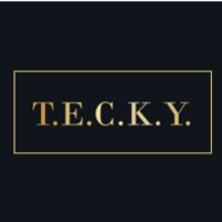 T.E.C.K.Y. logo - Similar company to Zg Tech Solutions