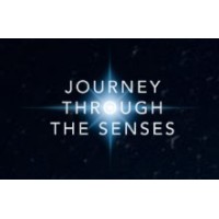 Journey Through The Senses