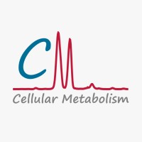 Cordes Lab logo - Similar company to Compugene Student Lab