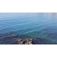 Studio dentistico logo - Similar company to Studio Dentistico