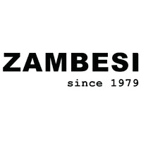 Zambesi Ltd. logo - Similar company to Evem Ltd