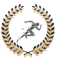 SportsNumerical logo - Similar company to Alltoo
