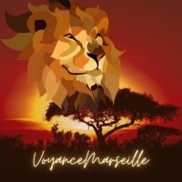 VOYANCE MARSEILLE logo - Similar company to Voyance Et Coaching
