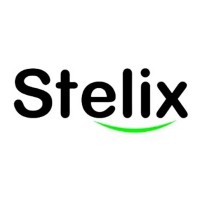 Stelix logo - Similar company to Stellix