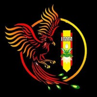 Ikatan Mahasiswa Muhammadiyah Komisariat Kaizen logo - Similar company to Kapito.Id