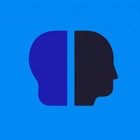 DevSplit logo - Similar company to Codeone