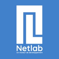 Netlab logo - Similar company to Netlabs