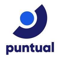 Puntual.mx logo - Similar company to Fersa Technologies