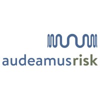 Audeamus Risk - Resilience Intel logo - Similar company to Capinteract
