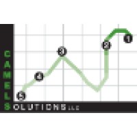 Camel Solutions LLC logo - Similar company to Pdriven