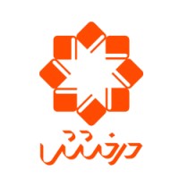 Derakhshesh logo - Similar company to Brusegroup