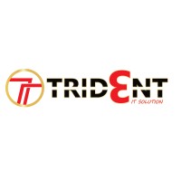 Trident It Solution logo - Similar company to Abm It Support