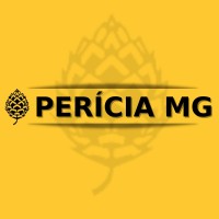 PERÍCIA MG logo - Similar company to Perícia Certa