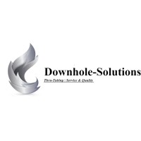 Downhole Solutions logo - Similar company to Strong Hold Solutions