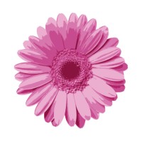 Renaissance Conseil logo - Similar company to Intelog Sas