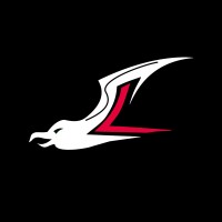 Seagulls Luebeck logo - Similar company to Granni
