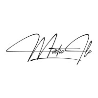 Matic Ilc s.p. logo - Similar company to Pixel Digital Agency