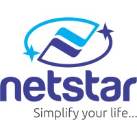 Netstar Home Automation logo - Similar company to Vahini Technologies