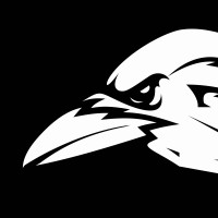AFC Bülach Ravens logo - Similar company to Skillbyte Training And Consultancy