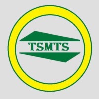 Tissa Brush logo - Similar company to Natural Coco Ana ®