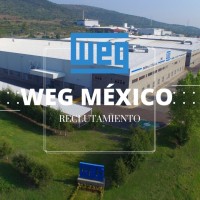 WEG Reclutamiento logo - Similar company to Actmexico