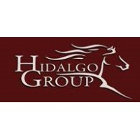 Hidalgo Group, LLC logo - Similar company to Tag Consulting