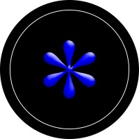 Sane logo - Similar company to Blip