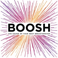 BOOSH logo - Similar company to Boosh