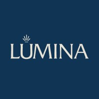 Lumina Consultora logo - Similar company to Gutbit Llc