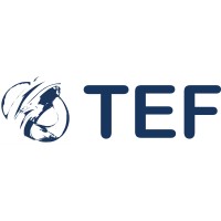 TEF Brandbeveiliging logo - Similar company to M2M Services