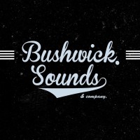 Bushwick Sounds LLC logo - Similar company to Sight Effects