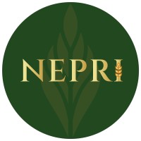 NEPRI logo - Similar company to Stepout