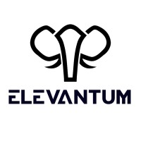 Elevantum logo - Similar company to Ysvb